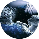 Nishaan Rughubar profile picture